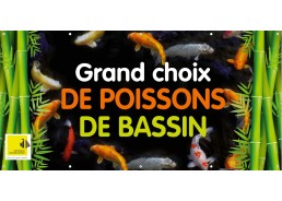 Calicot couleur 2m x 1m bassin - Accessoires - Comptoir du Poisson exotique