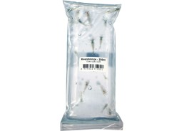 Crevettes naines (eau de...