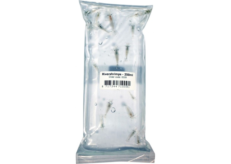 Crevettes naines (eau de mer) 250mL