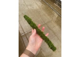 Stick bambou avec mousse de...