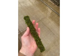 Stick bambo avec mousse de...